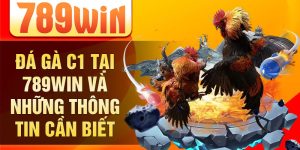 Đá gà C1 tại 789win và những thông tin cần biết