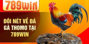 Đôi nét về đá gà Thomo tại 789win