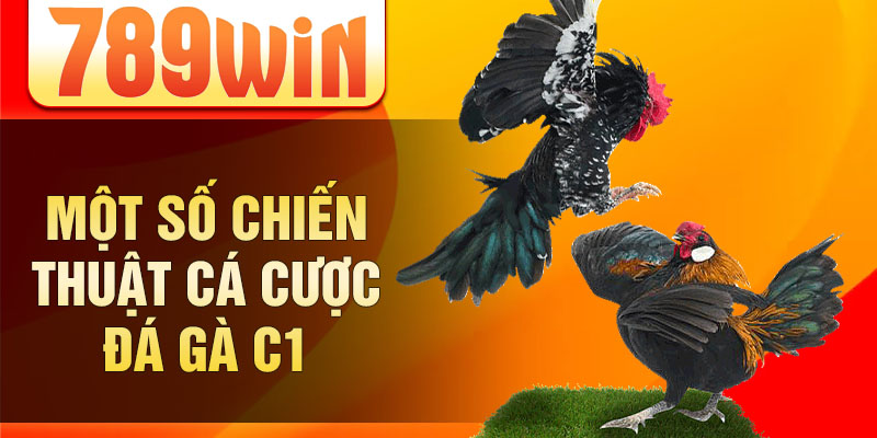 Một số chiến thuật cá cược đá gà C1 Một số chiến thuật cá cược đá gà C1