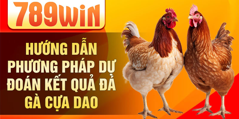 Hướng dẫn phương pháp dự đoán kết quả đá gà cựa dao Hướng dẫn phương pháp dự đoán kết quả đá gà cựa dao