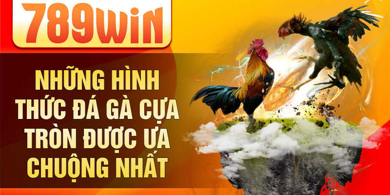 Những hình thức đá gà cựa tròn được ưa chuộng nhất Những hình thức đá gà cựa tròn được ưa chuộng nhất