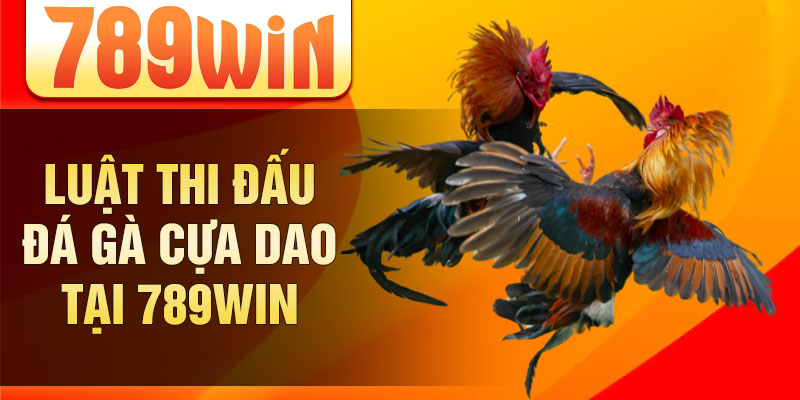 Luật thi đấu đá gà cựa dao tại 789win Luật thi đấu đá gà cựa dao tại 789win